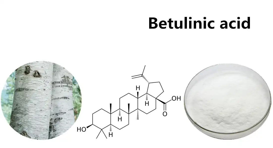 structure of Betulinic Acid