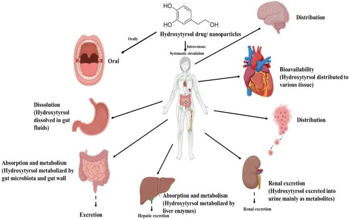 product-1-1 product-1-1