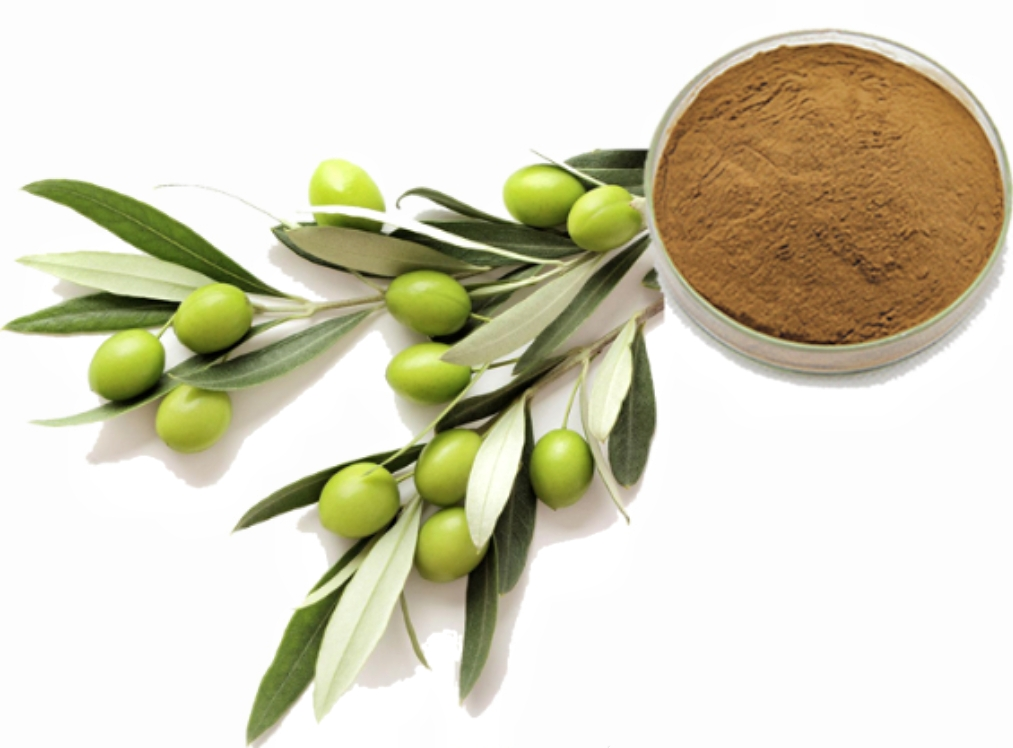 Hydroxytyrosol Powder