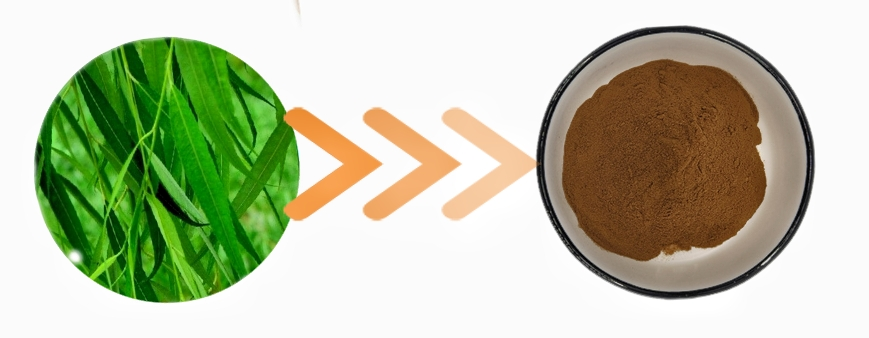 White willow bark Extract