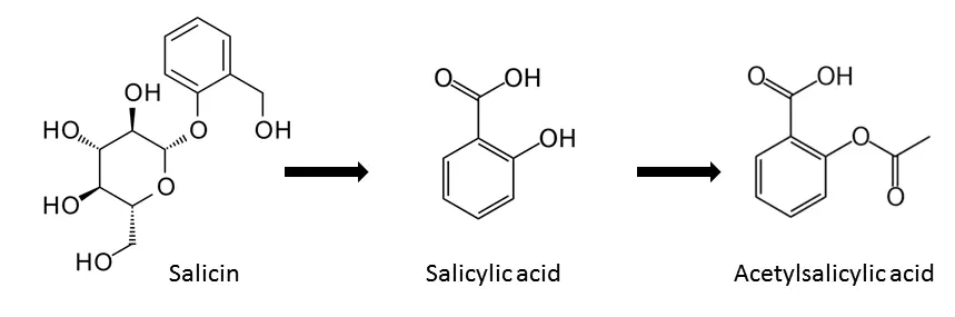 Salicin vs. Aspirin 