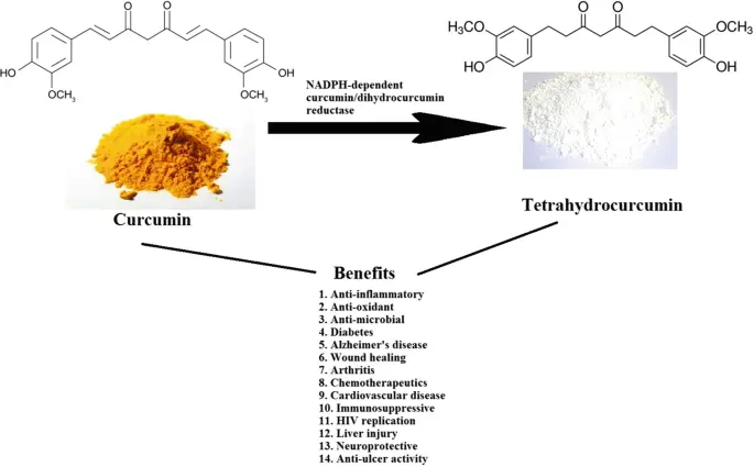 Tetrahydrocurcumin Benefits Tetrahydrocurcumin Benefits