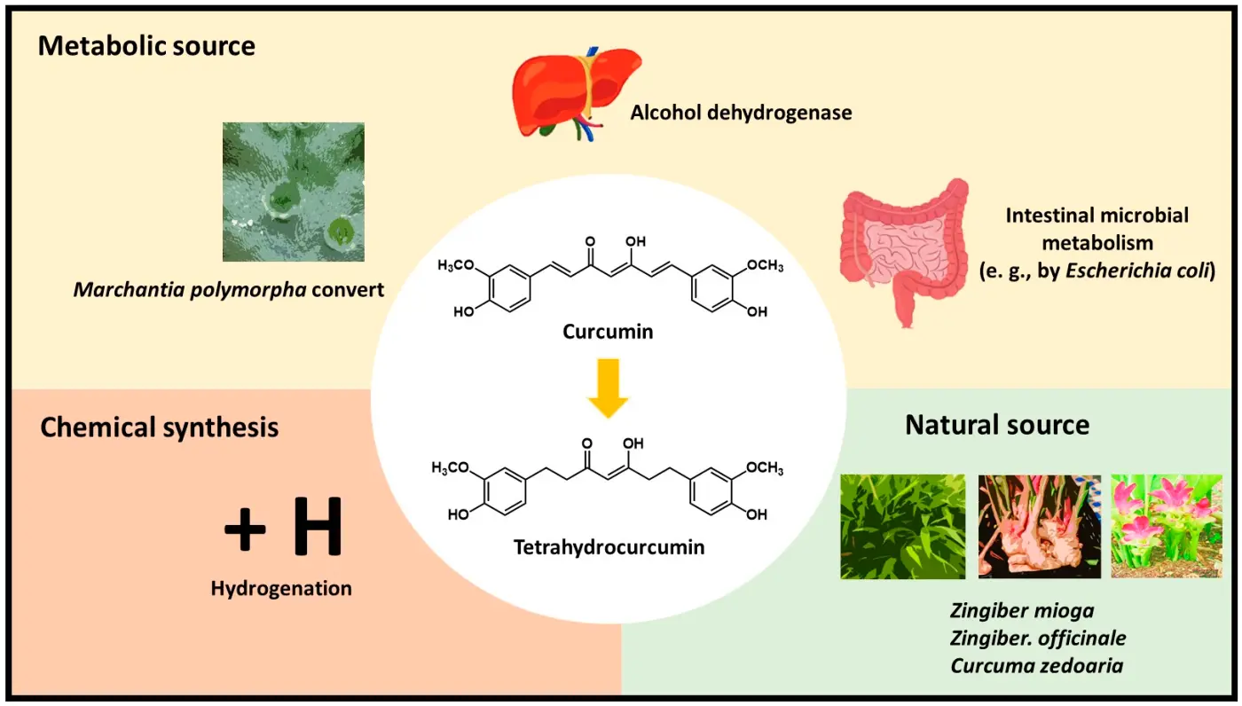Tetrahydrocurcumin Benefits Tetrahydrocurcumin Benefits
