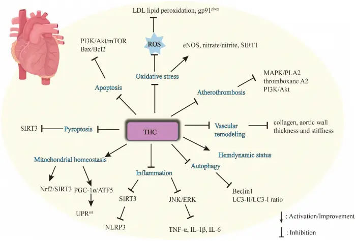 Pharmaceutical and Biotechnology Industry Pharmaceutical and Biotechnology Industry