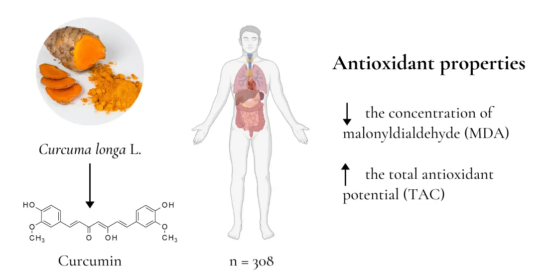 Curcumin Turmeric Root Extract Benefits