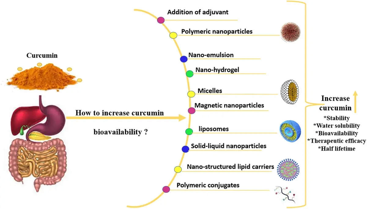 Curcumin uses