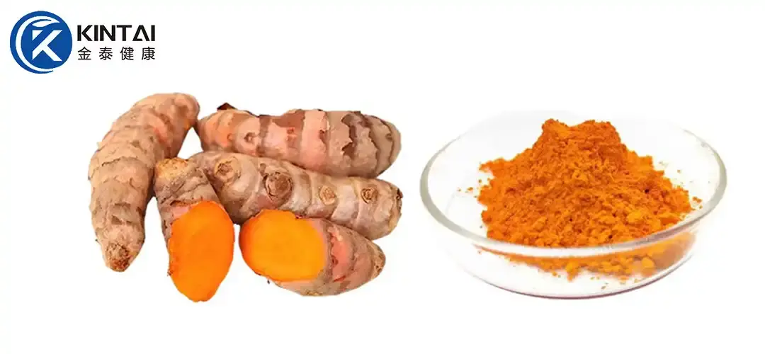 Curcumin Extract Powder