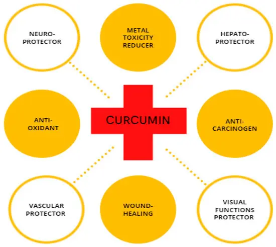 Curcumin Extract Powder Benefits Curcumin Extract Powder Benefits