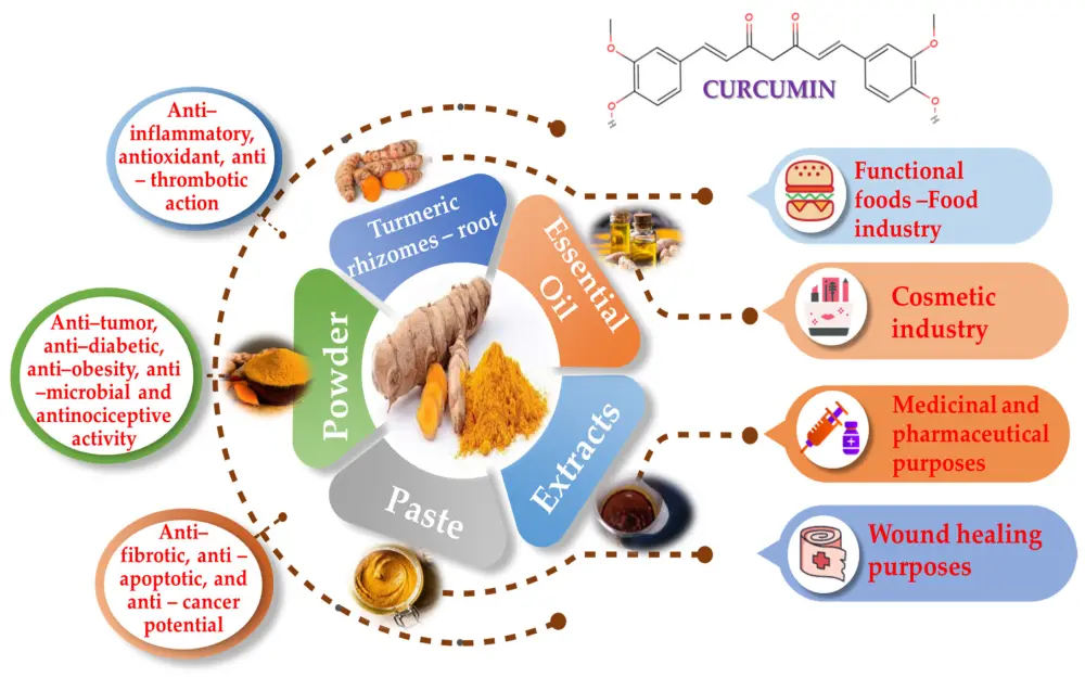 Curcumin Extract Uses