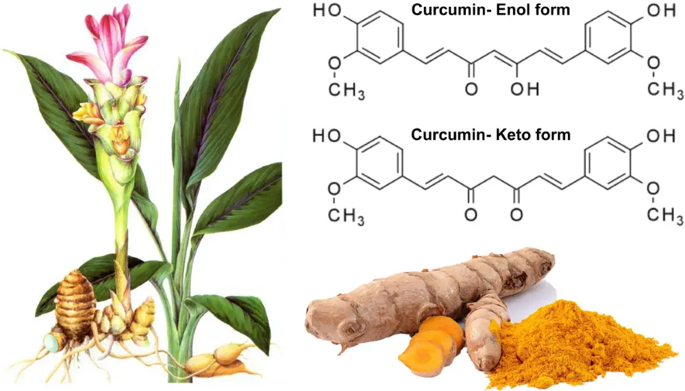 Curcumin Extract Powder Chemical & Physical Properties Curcumin Extract Powder Chemical & Physical Properties
