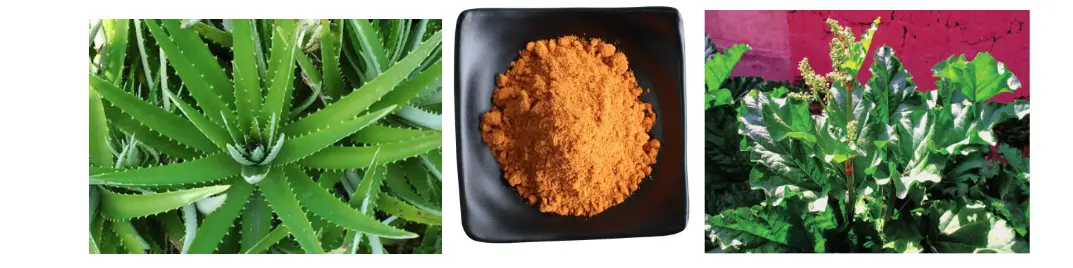 Aloe Emodin Aloe Emodin