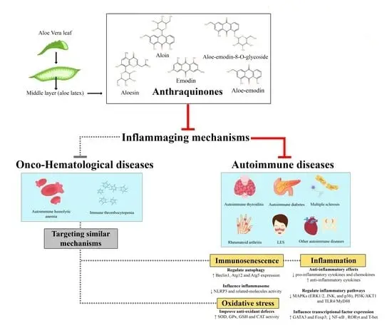 Aloe Emodin Benefits Aloe Emodin Benefits