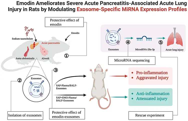 product-1-1 product-1-1