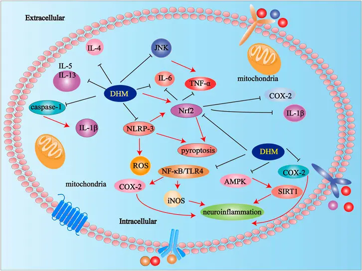 product-1-1 product-1-1