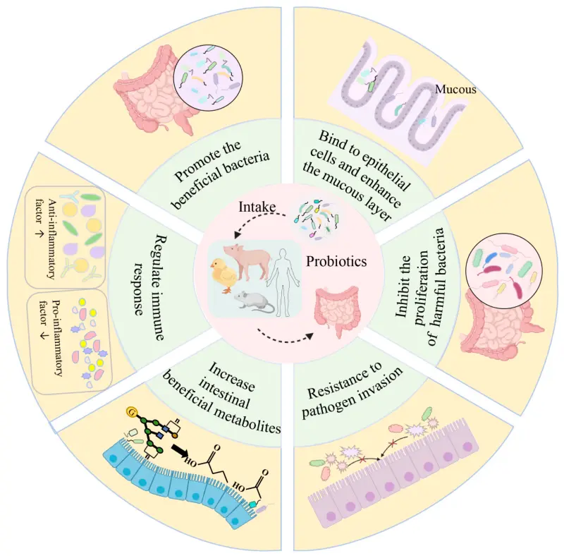 Dihydromyricetin for Livestock and Poultry Dihydromyricetin for Livestock and Poultry