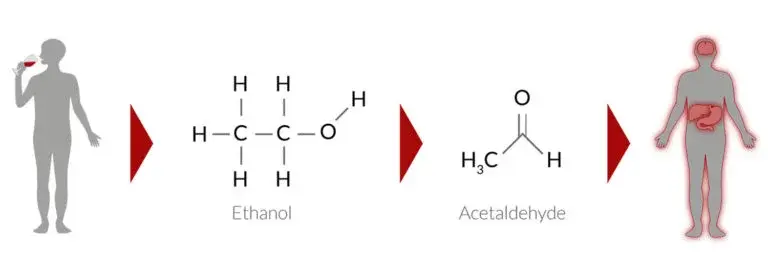 DHM and Alcohol DHM and Alcohol