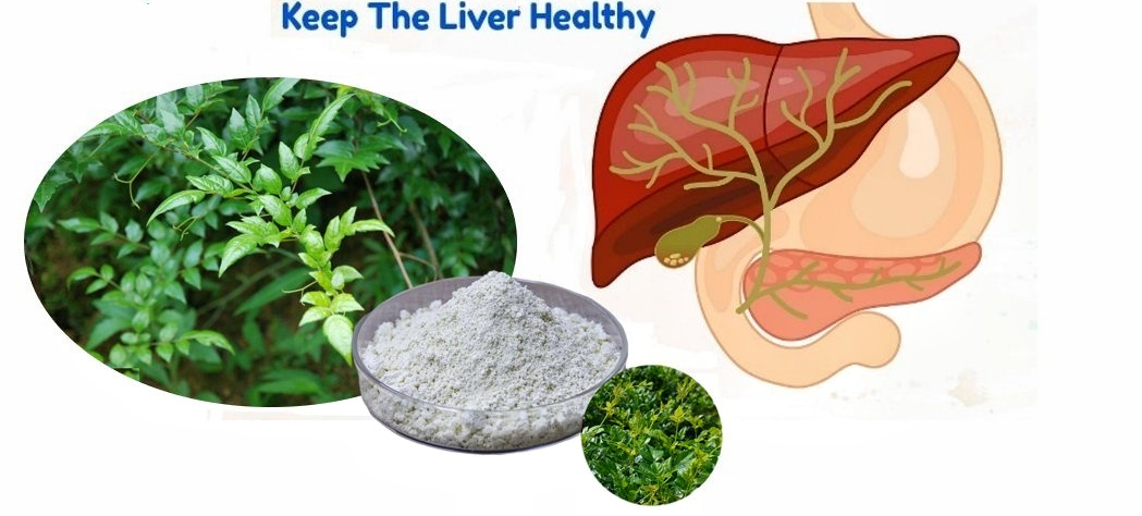 Dihydromyricetin Uses Dihydromyricetin Uses