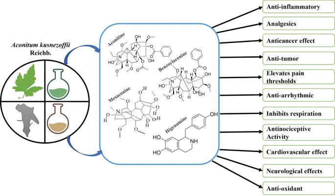 Side Effects of Lappaconite Hydrobromide Side Effects of Lappaconite Hydrobromide