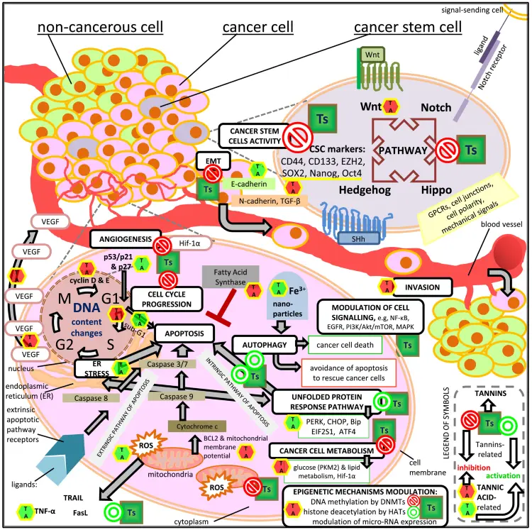 product-1-1 product-1-1