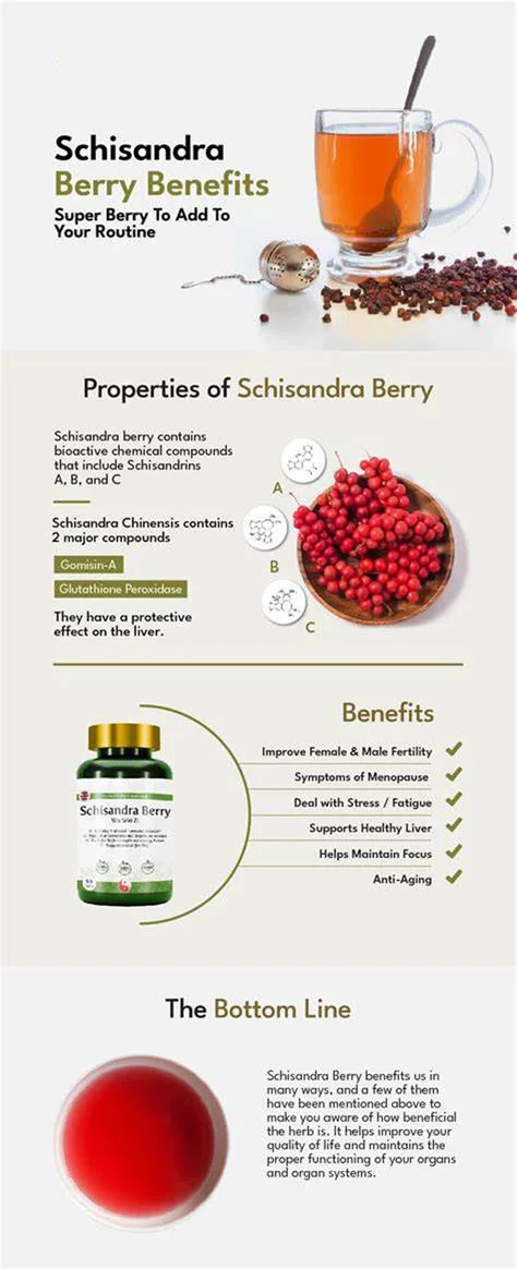 Schisandrin B Powder Benefits