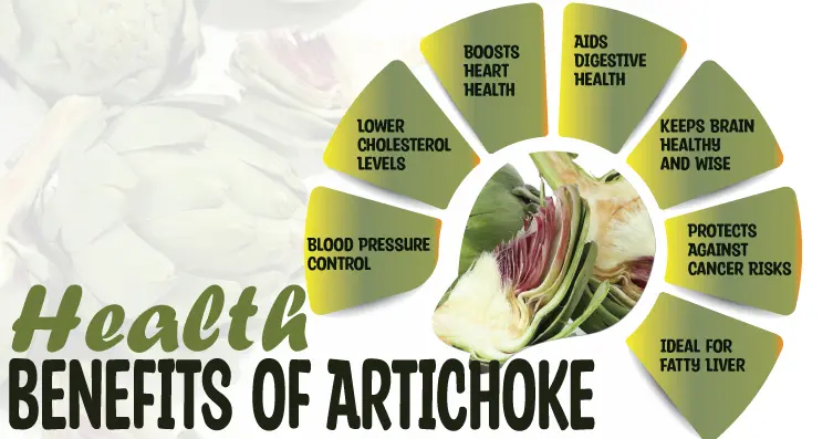 Benefits of Artichoke Leaf Extract