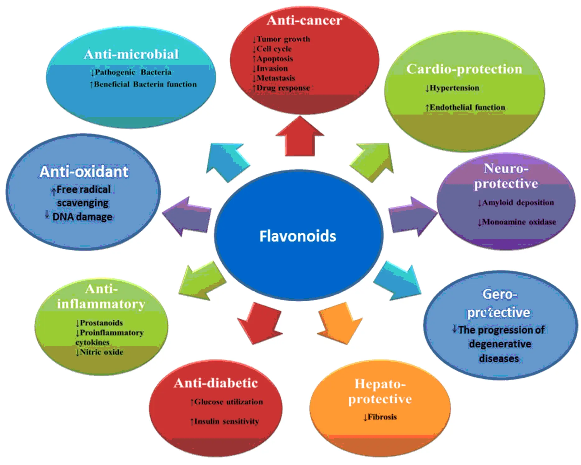 Douglas fir extract dihydroquercetin Side effects Douglas fir extract dihydroquercetin Side effects