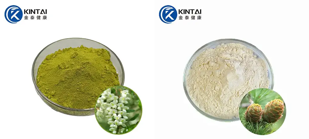 KINTAI quercetin and dihydroquercetin KINTAI quercetin and dihydroquercetin