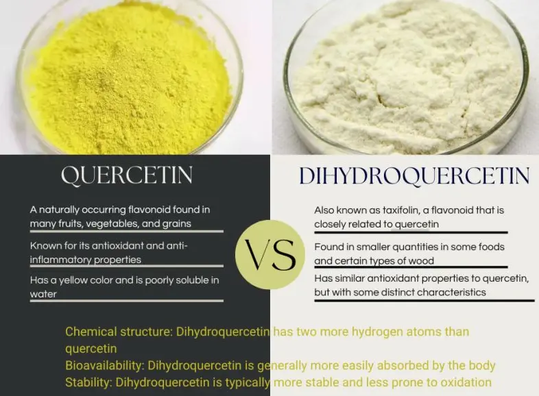 quercetin and dihydroquercetin quercetin and dihydroquercetin