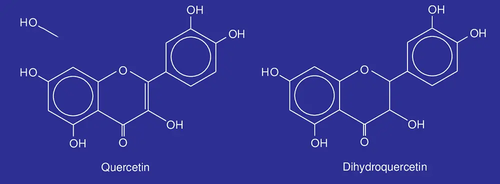 Which one should I choose: quercetin or dihydroquercetin?