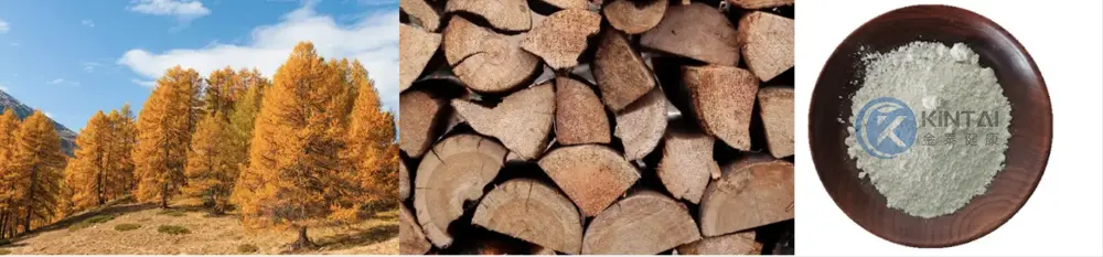 Raw material of KINTAI DHQ Raw material of KINTAI DHQ