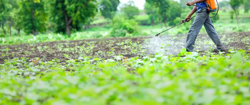 Sanguinarine in Agriculture and Horticulture
