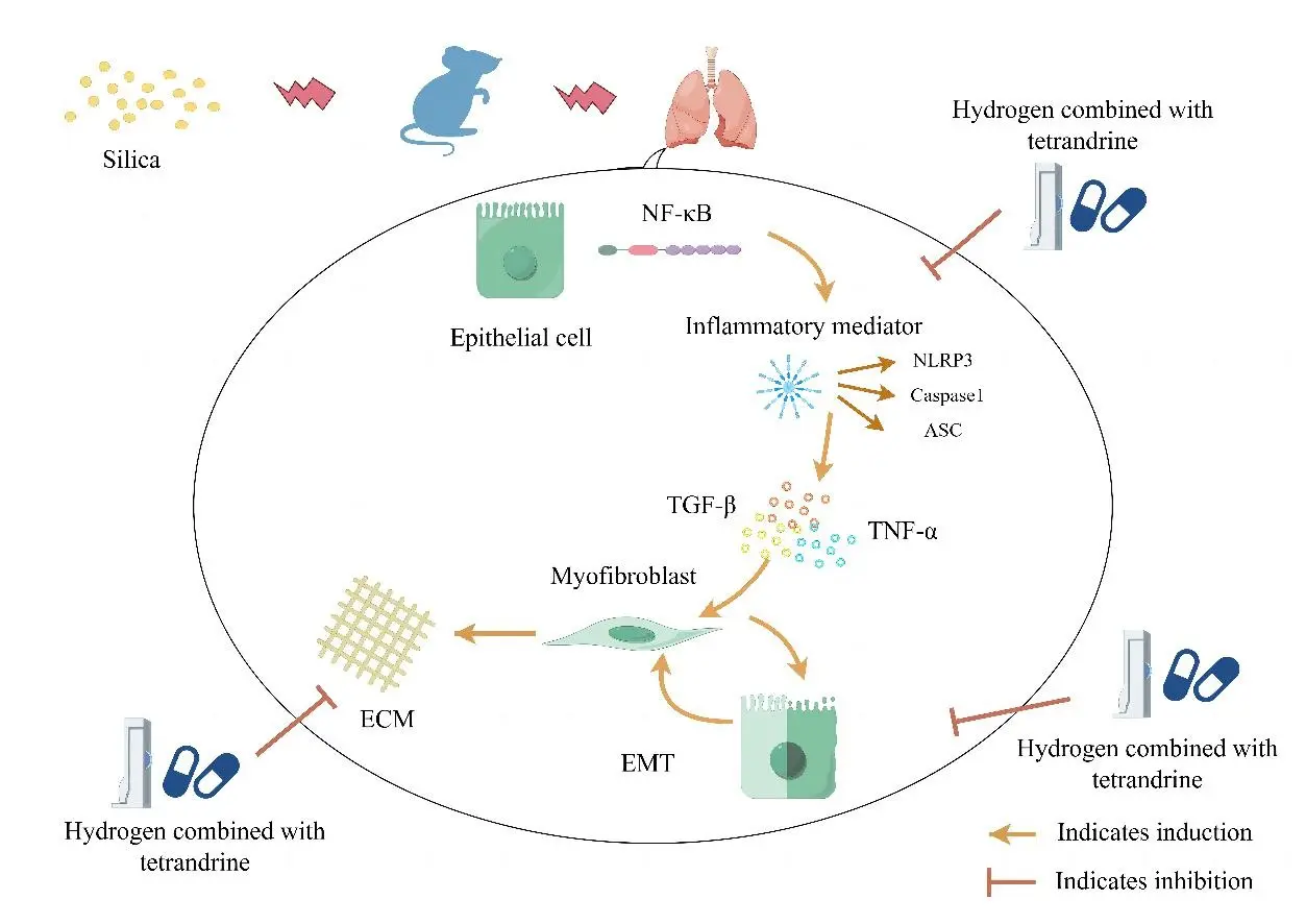 product-1-1 product-1-1
