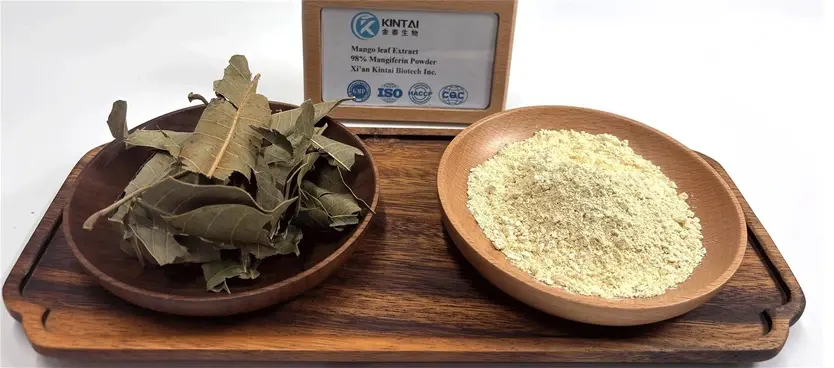 Best Mango Leaf Extract Manufacturer
