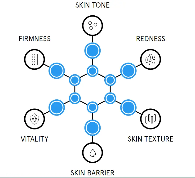 The Functions of Stephania Tetrandra Extract in Skincare The Functions of Stephania Tetrandra Extract in Skincare