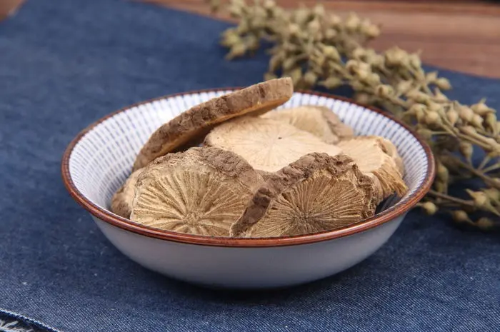 Cocculus Trilobus Cocculus Trilobus