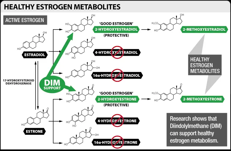 How does diindolylmethane work? How does diindolylmethane work?