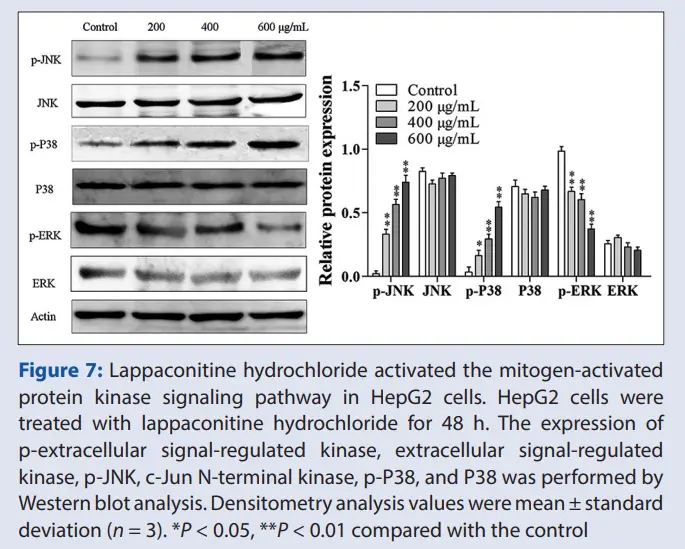 How does lappaconitine hydrobromide work in the body