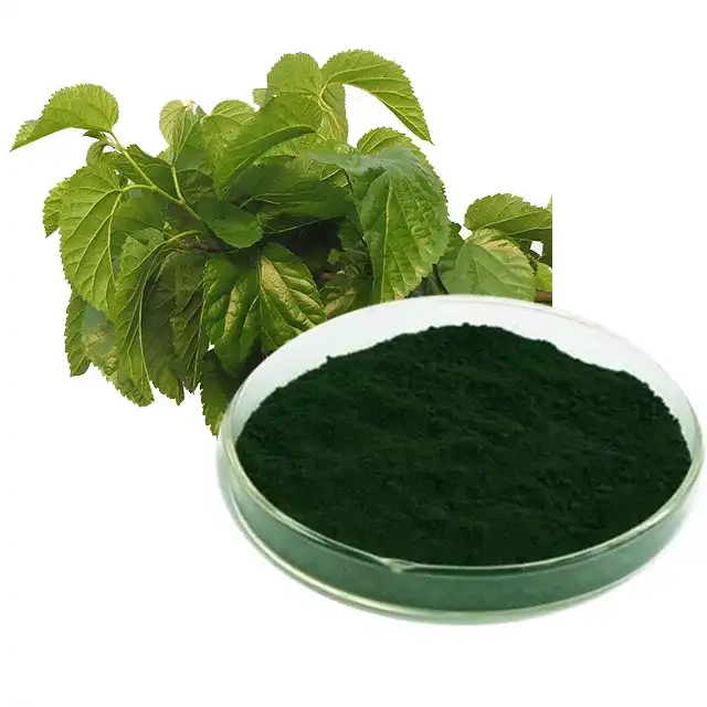 Sodium Copper Chlorophyllin Powder Sodium Copper Chlorophyllin Powder