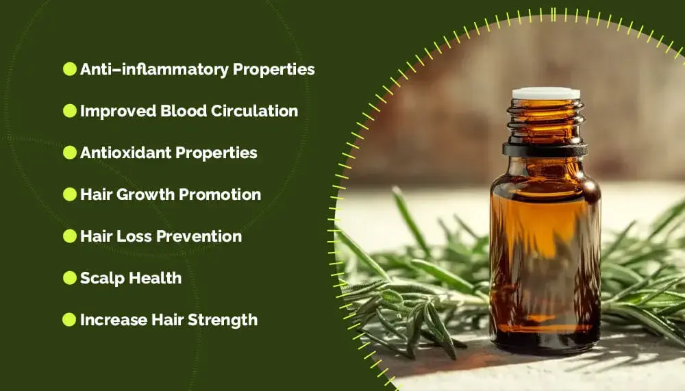 Rosmarinic Acid Benefits