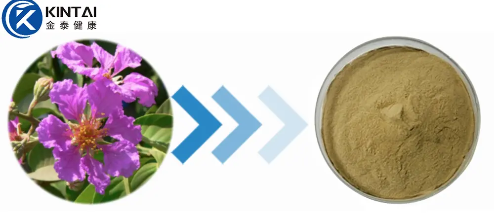 corosolic acid powder