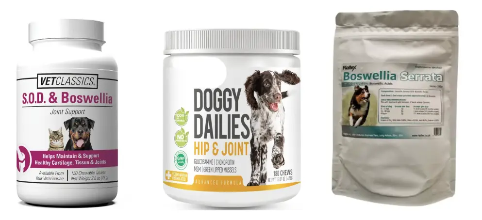 Boswellia Extract for Dogs Boswellia Extract for Dogs