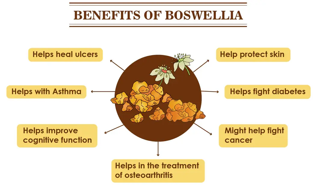 Boswellia Extract Benefits Boswellia Extract Benefits