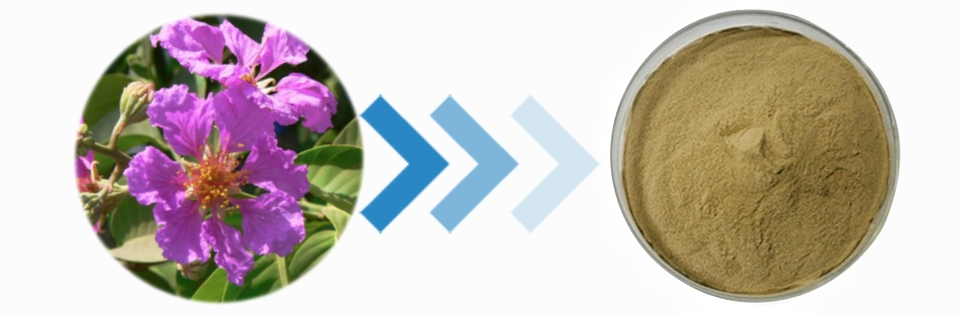 Corosolic acid Corosolic acid