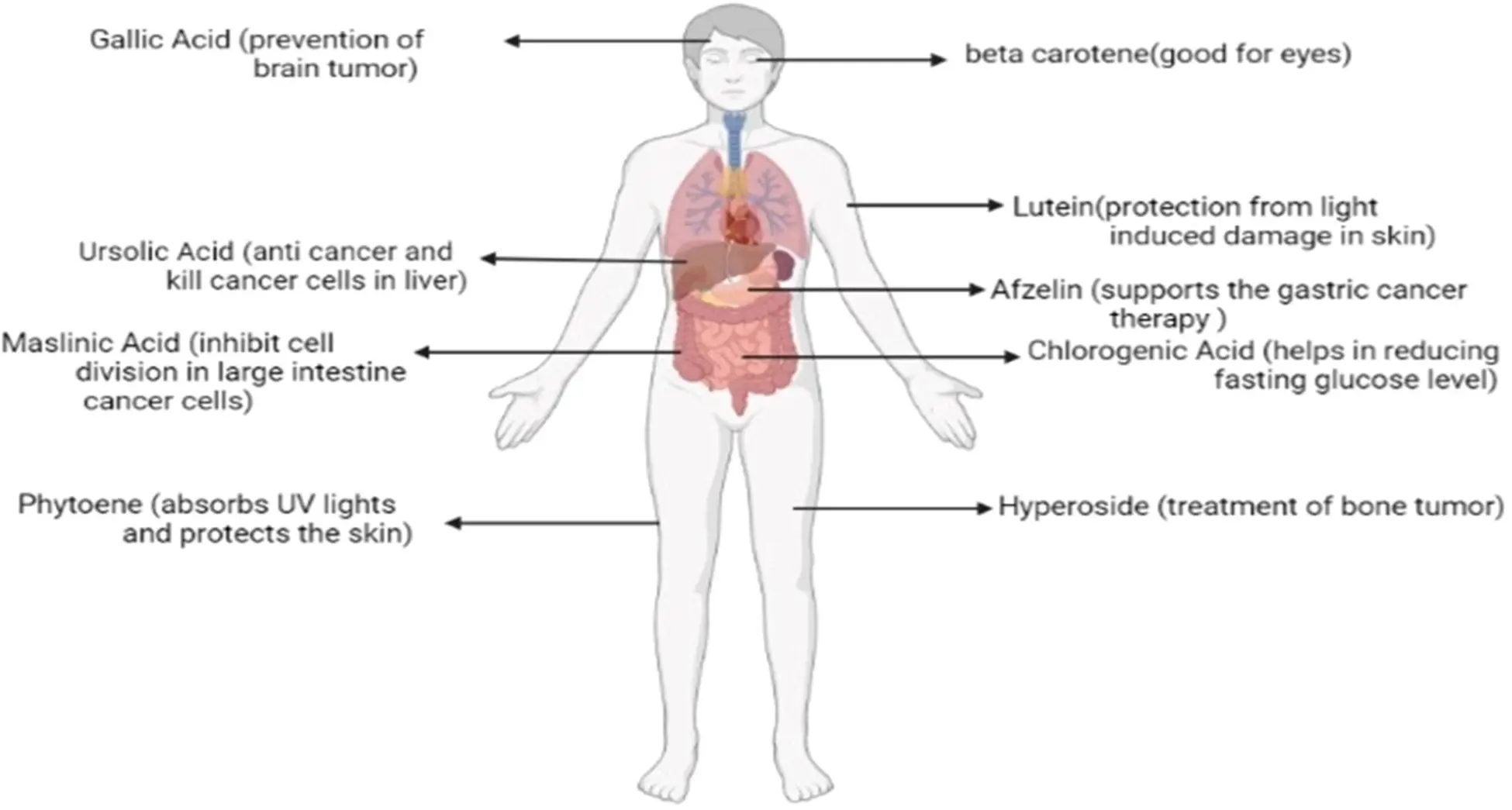 What is Loquat leaf extract used for? What is Loquat leaf extract used for?