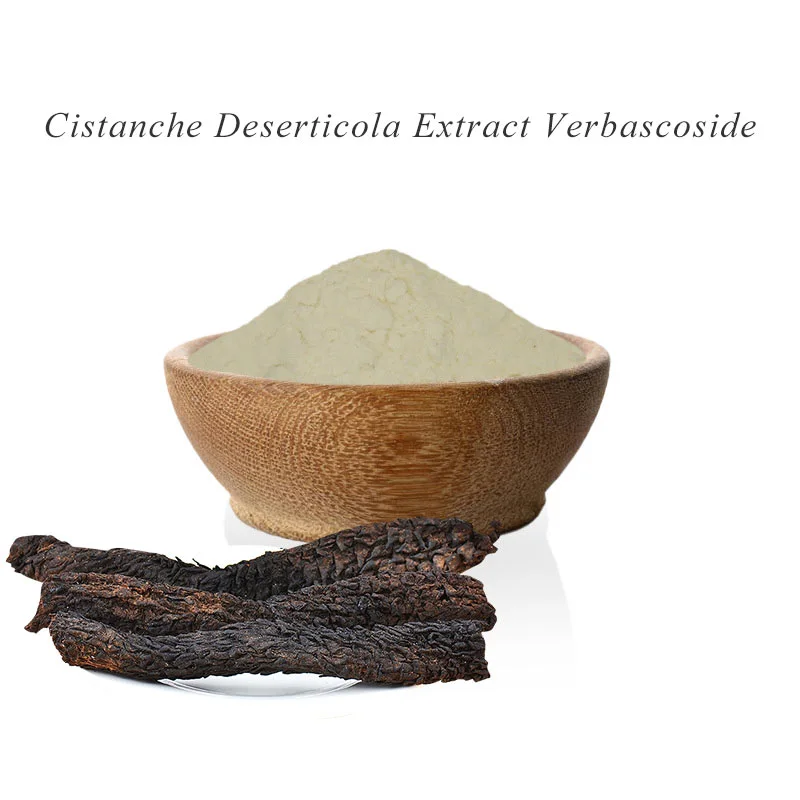 Cistanche Deserticola Extract Verbascoside Cistanche Deserticola Extract Verbascoside