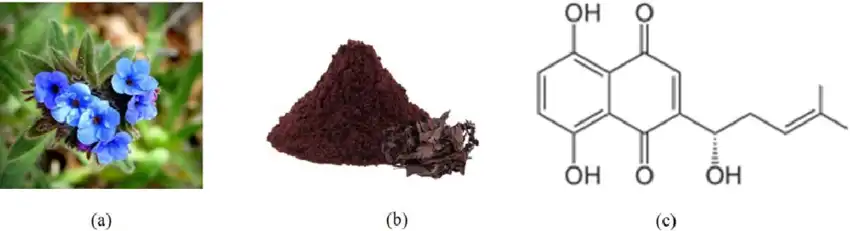 Comfrey Extract Alkannin Comfrey Extract Alkannin