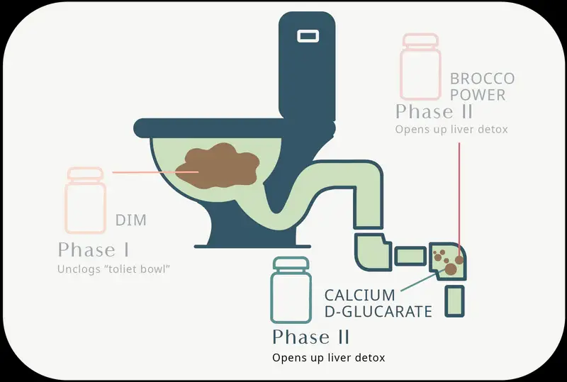 The Synergistic Process of DIM and CDG The Synergistic Process of DIM and CDG