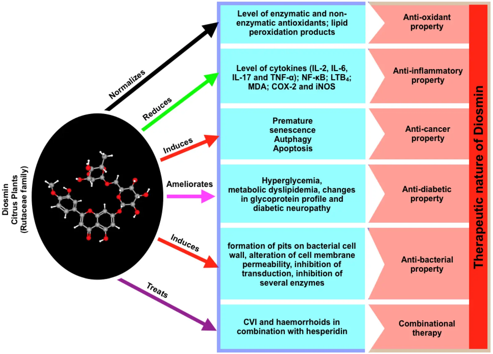 diosmin benefits diosmin benefits