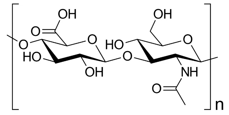 Hyaluronic Acid Hyaluronic Acid