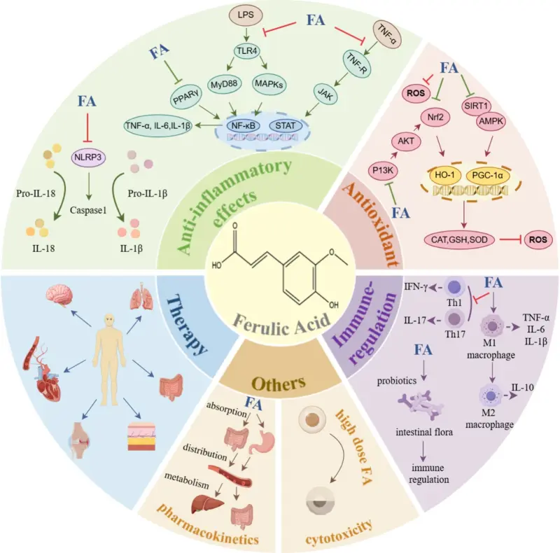 Cardiovascular and Neuroprotective Effects Cardiovascular and Neuroprotective Effects